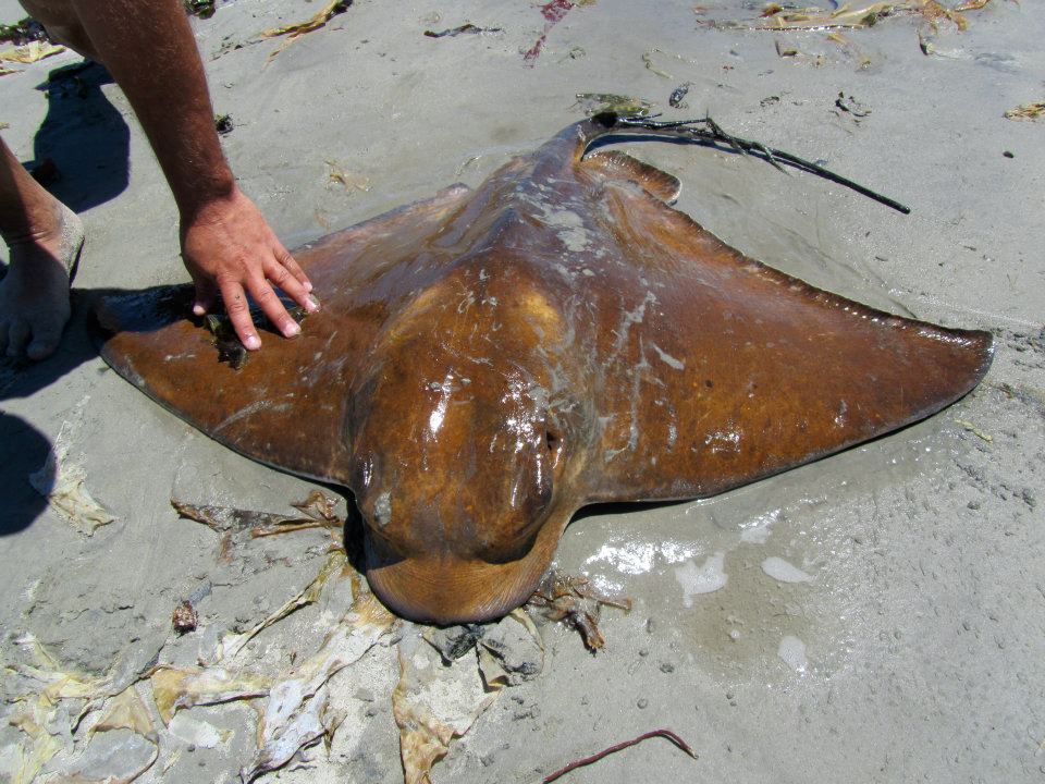 432083_10150513830022413_687162412_9185093_600891838_n